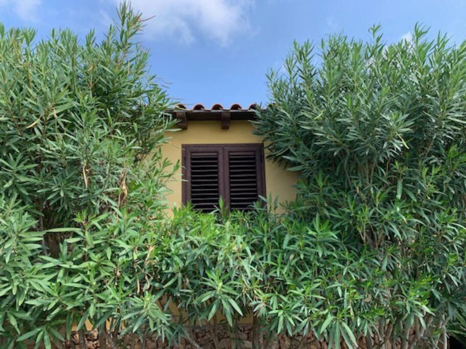 Villa Maveda, Un Dammuso Immerso Nel Verde Lampedusa Exterior foto